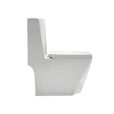 Customize P S Trap One Piece Floor Mounted Toilet Ceramic White Color Gravity Flush