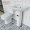 French European Style Water Saving Sanitary Ware Two Piece Toilet With Basin