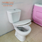 Double Flush 3L / 6L P Trap Commode Ceramics 180mm Tow Piece Toilet