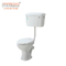 High Efficiency Dual Flush 2 Piece Toilet Bowl Elongated 470x360x400mm