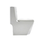 Customize P S Trap One Piece Floor Mounted Toilet Ceramic White Color Gravity Flush